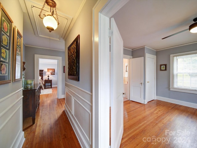 corridor featuring light hardwood / wood-style floors and crown molding