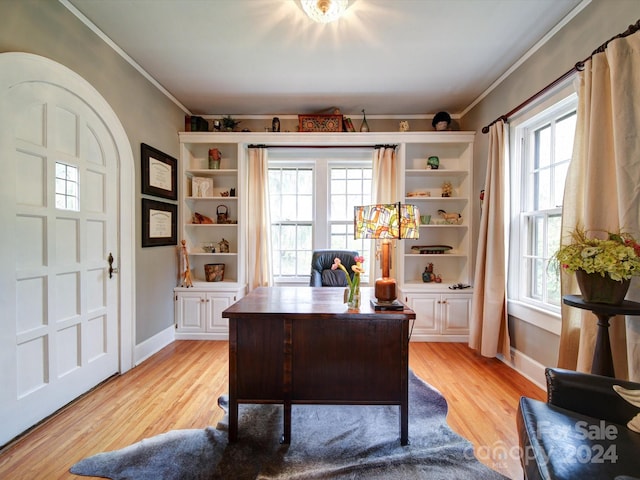 office area featuring light wood-type flooring, a wealth of natural light, and ornamental molding