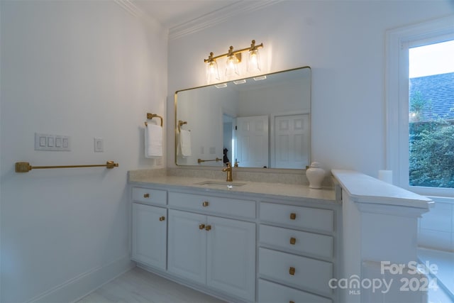 bathroom featuring a wealth of natural light, crown molding, and vanity