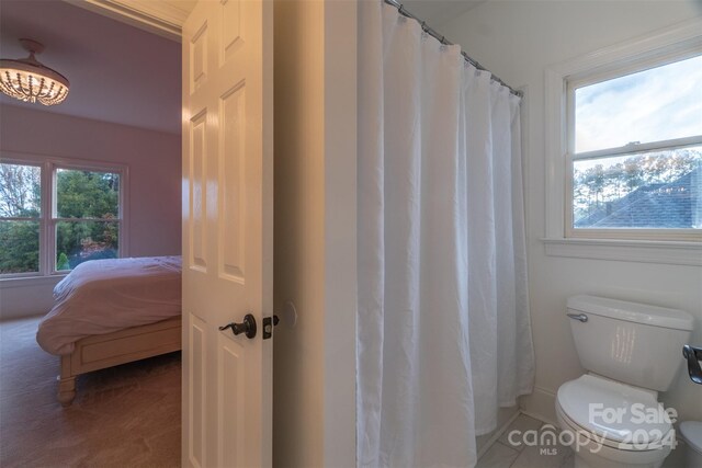 bathroom featuring plenty of natural light and toilet