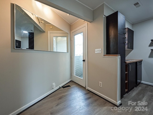 foyer entrance featuring dark wood-type flooring