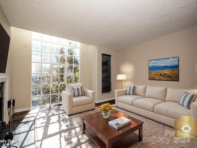 living room with a textured ceiling