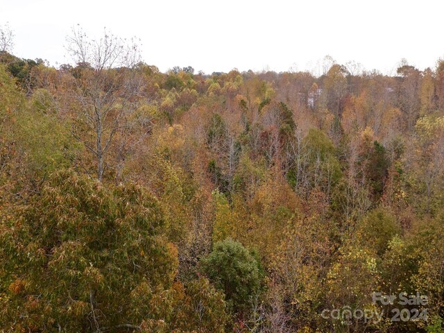 0 Swing Dairy Rd, Lexington, NC 27295 - photo 10