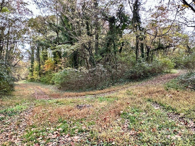 0 Swing Dairy Rd, Lexington, NC 27295 - photo 13