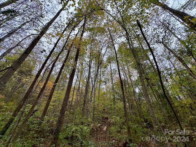 0 Swing Dairy Rd, Lexington, NC 27295 - photo 14