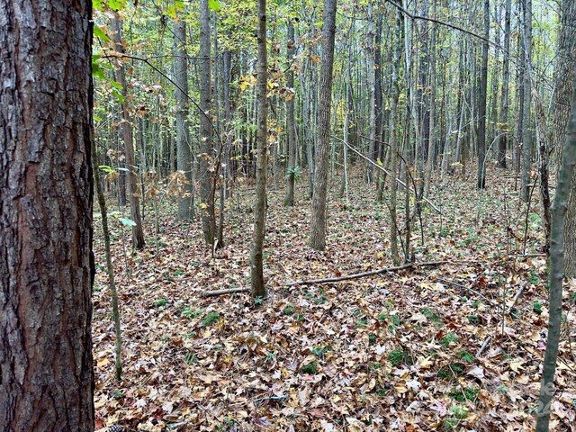 0 Swing Dairy Rd, Lexington, NC 27295 - photo 15