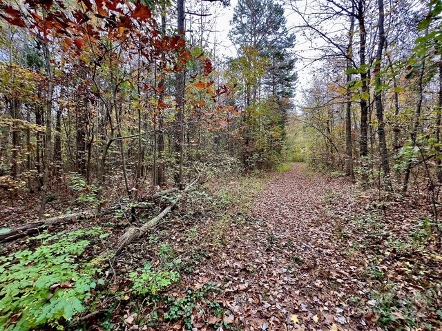 0 Swing Dairy Rd, Lexington, NC 27295 - photo 16
