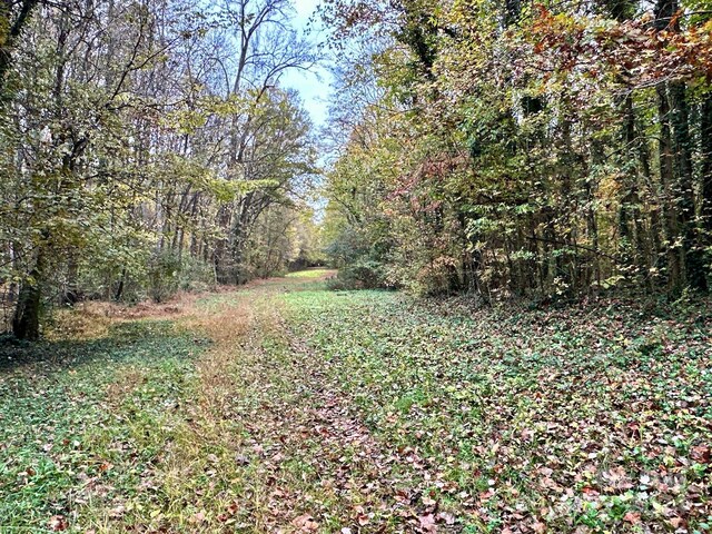 0 Swing Dairy Rd, Lexington, NC 27295 - photo 20