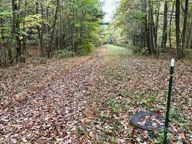 0 Swing Dairy Rd, Lexington, NC 27295 - photo 21