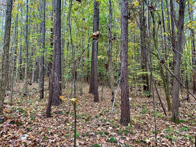 0 Swing Dairy Rd, Lexington, NC 27295 - photo 22