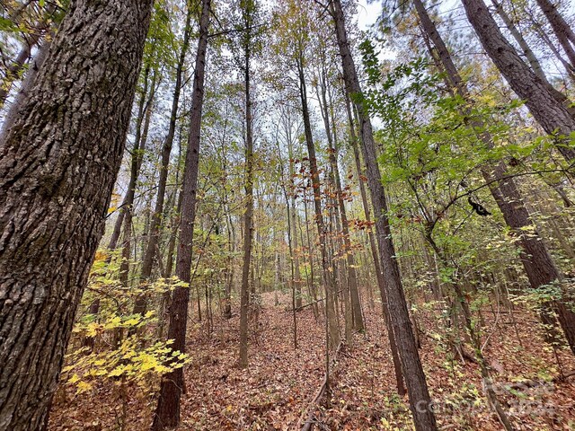 0 Swing Dairy Rd, Lexington, NC 27295 - photo 23