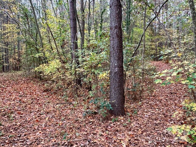 0 Swing Dairy Rd, Lexington, NC 27295 - photo 24