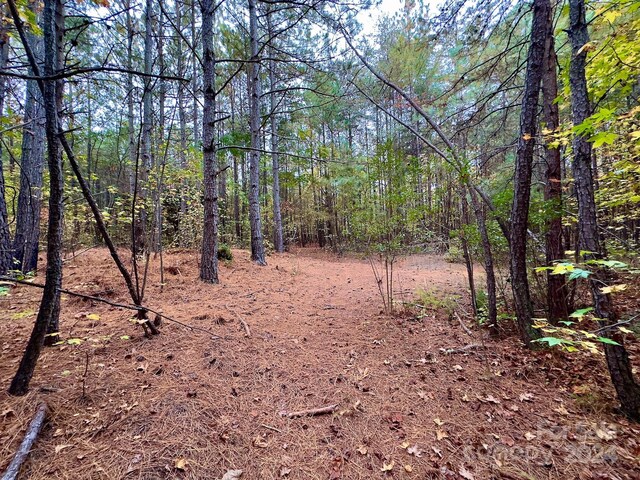 0 Swing Dairy Rd, Lexington, NC 27295 - photo 25