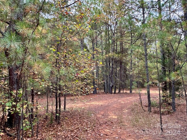 0 Swing Dairy Rd, Lexington, NC 27295 - photo 26