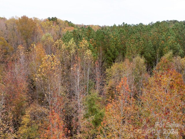 0 Swing Dairy Rd, Lexington, NC 27295 - photo 29