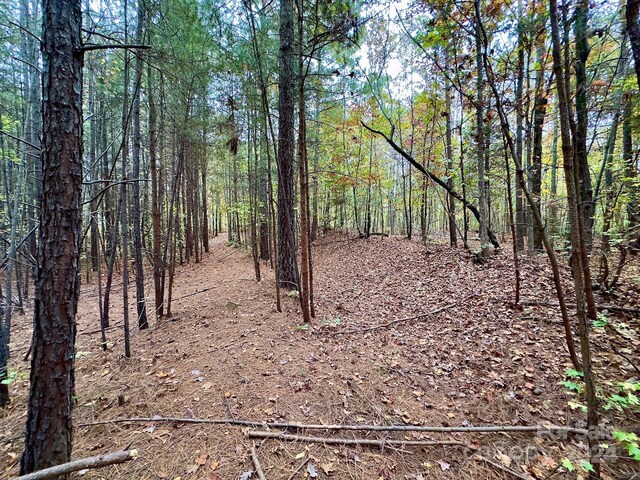0 Swing Dairy Rd, Lexington, NC 27295 - photo 34