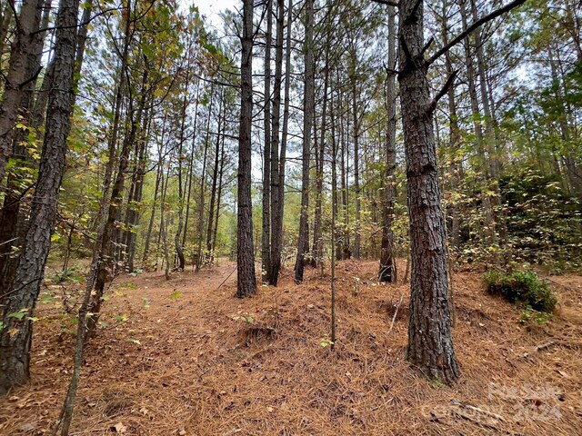 0 Swing Dairy Rd, Lexington, NC 27295 - photo 35