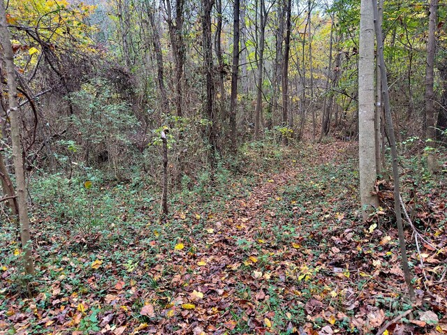 0 Swing Dairy Rd, Lexington, NC 27295 - photo 39
