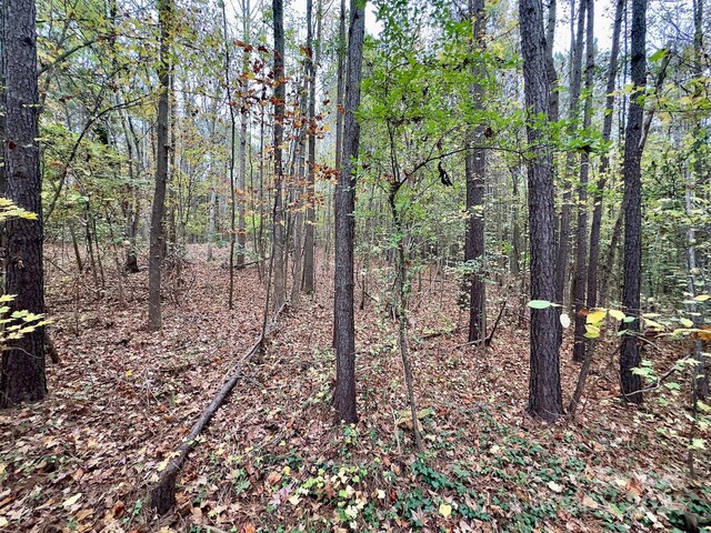 0 Swing Dairy Rd, Lexington, NC 27295 - photo 41