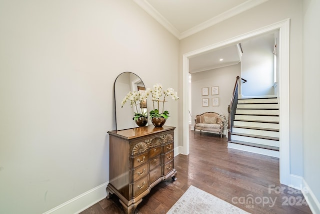 hallway with crown molding and dark wood-type flooring