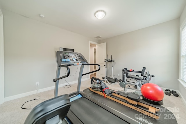 exercise room featuring carpet flooring