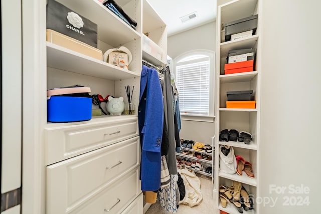 walk in closet featuring carpet flooring