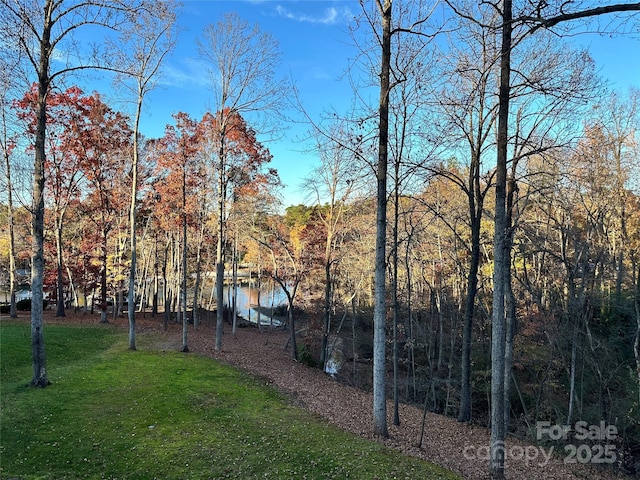 view of yard with a forest view