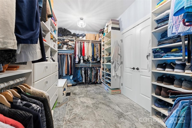 20361 Enclave Oaks Ct, Cornelius, NC 28031 - view of walk in closet