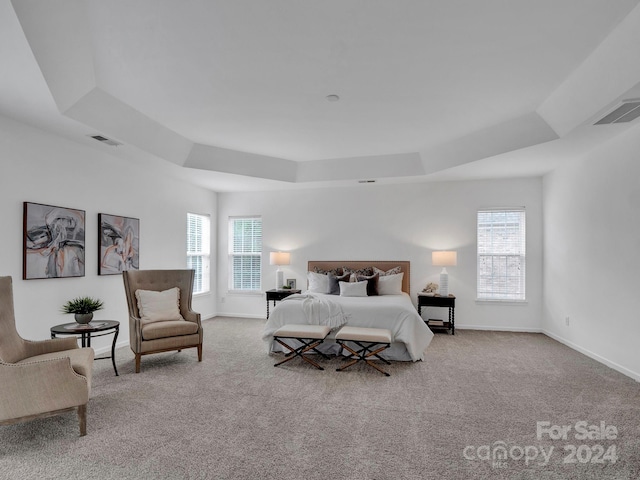 carpeted bedroom with a tray ceiling