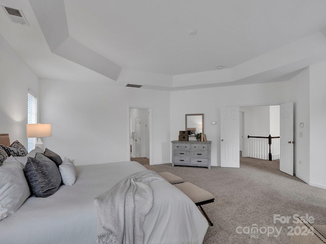 carpeted bedroom featuring a raised ceiling