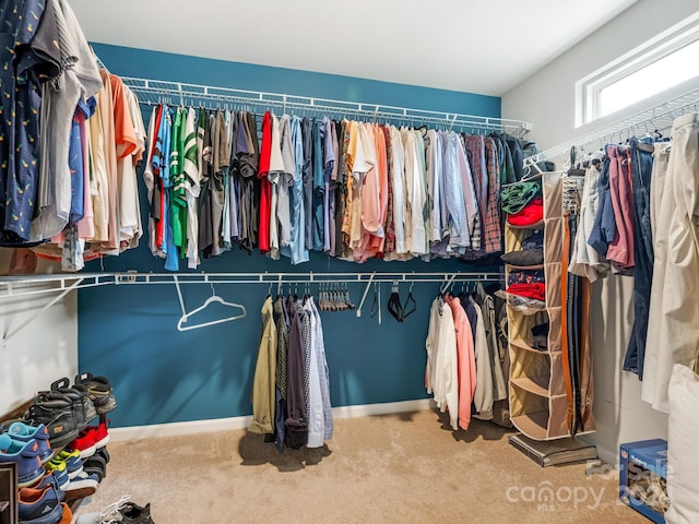 spacious closet featuring carpet floors