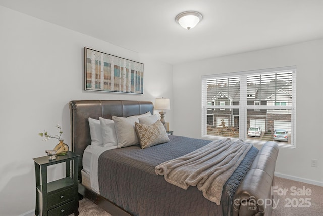 bedroom featuring carpet