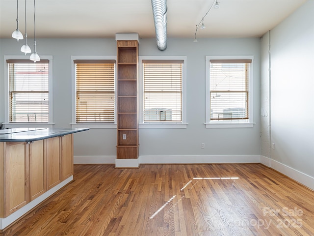32 Broadway St Unit 230, Asheville, NC 28801 - interior space featuring baseboards, a healthy amount of sunlight, and light wood finished floors