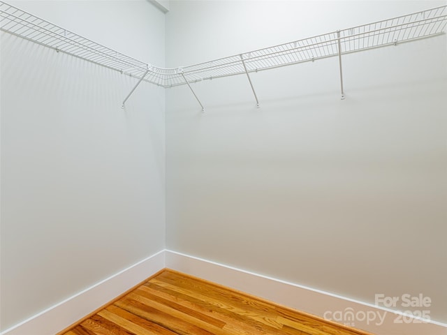 32 Broadway St Unit 230, Asheville, NC 28801 - spacious closet featuring light wood-type flooring