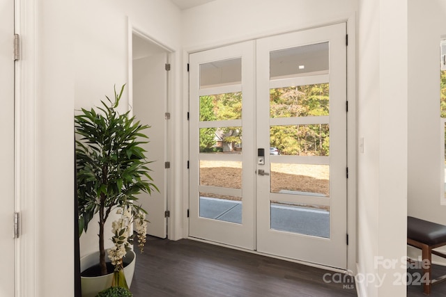 doorway featuring dark wood-type flooring and french doors