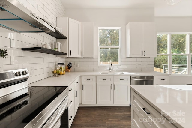 kitchen featuring stainless steel appliances, white cabinetry, extractor fan, and dark hardwood / wood-style flooring