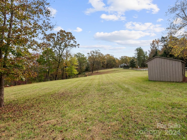 view of yard with a storage unit