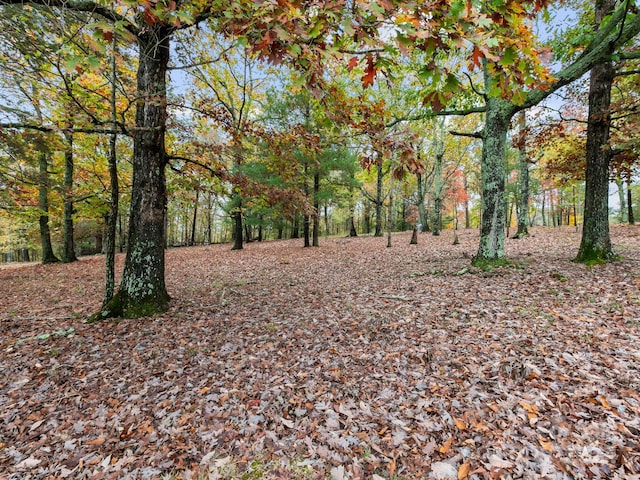 view of landscape