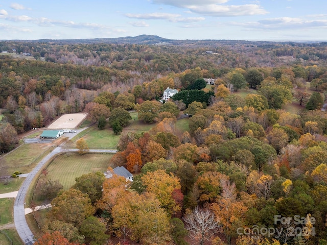 bird's eye view