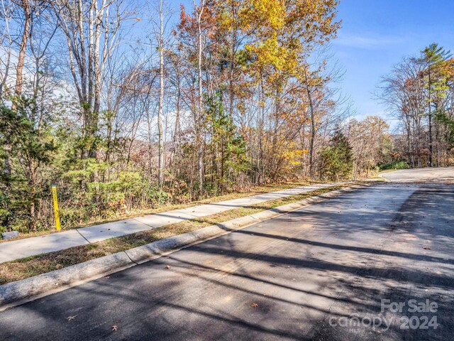 101 Cottage Settings Ln Unit 283, Black Mountain, NC 28711