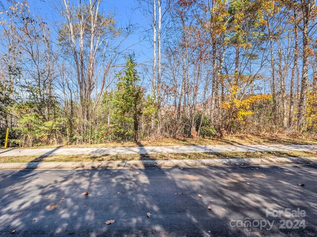 101 Cottage Settings Ln Unit 283, Black Mountain, NC 28711