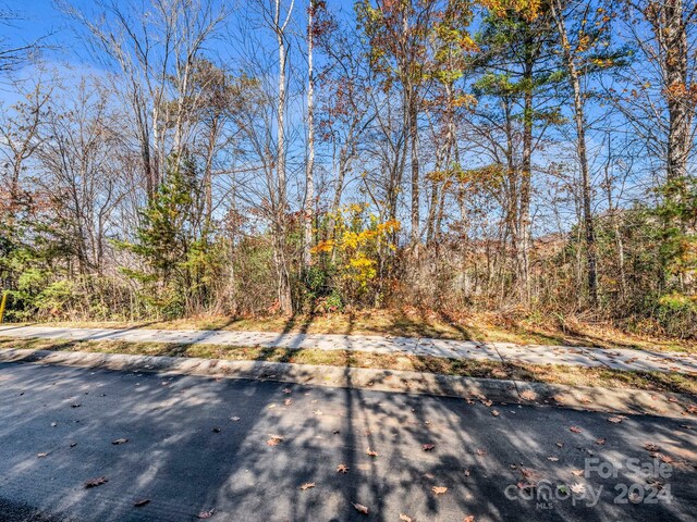 101 Cottage Settings Ln Unit 283, Black Mountain, NC 28711