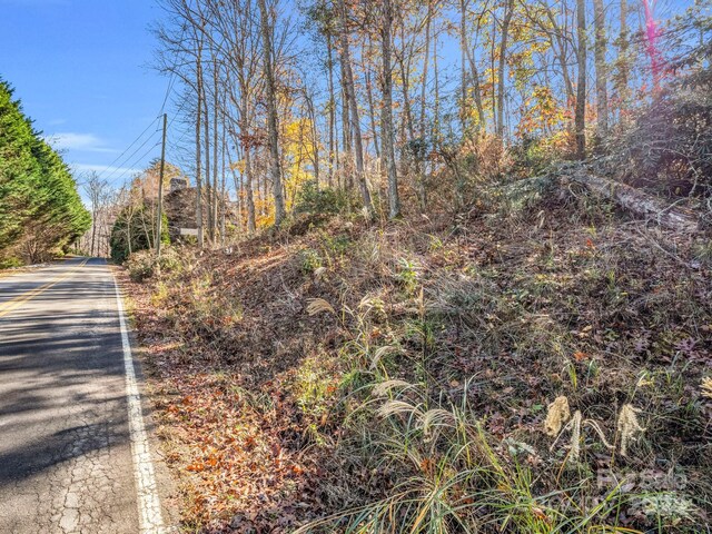101 Cottage Settings Ln Unit 283, Black Mountain, NC 28711