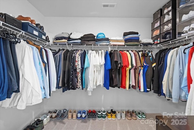 122 W Heart Pine Ln, Statesville, NC 28677 - view of walk in closet