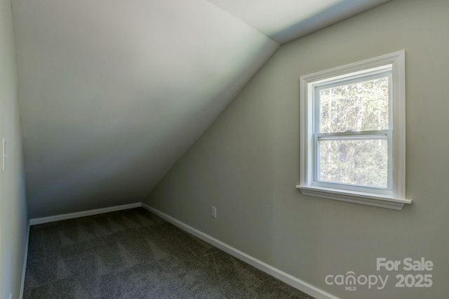 additional living space with dark colored carpet, baseboards, and lofted ceiling