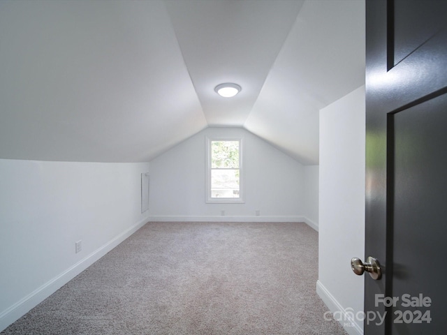 additional living space featuring lofted ceiling and carpet