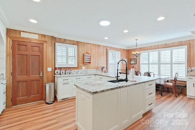 kitchen with ornamental molding, pendant lighting, light hardwood / wood-style floors, and sink