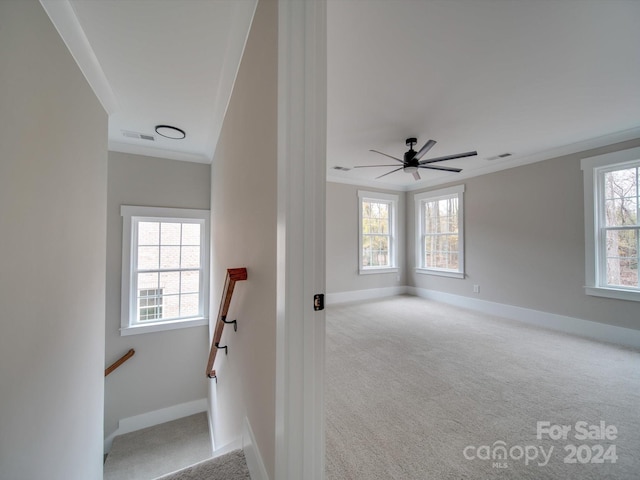 stairway featuring plenty of natural light, ceiling fan, carpet floors, and crown molding