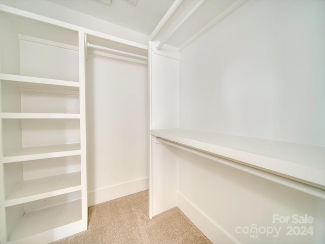 walk in closet featuring light colored carpet