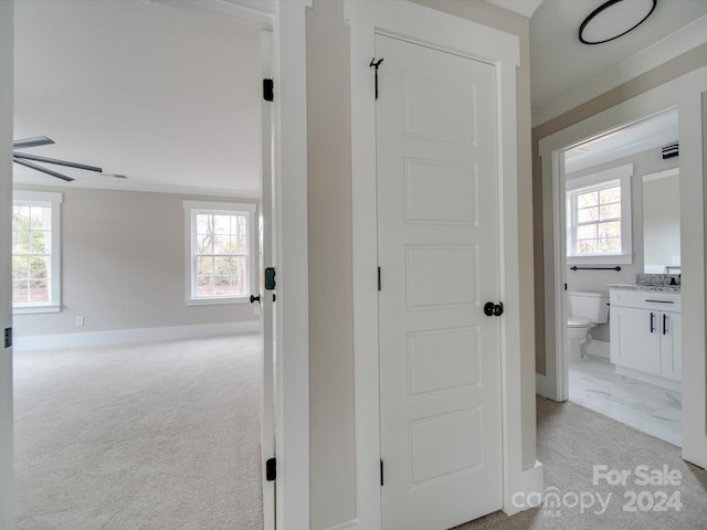 hall featuring light colored carpet and a wealth of natural light